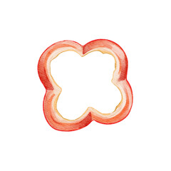 Cartoon cute cooking culinary sweet ripe piece of red pepper paprika isolated on white background. Watercolor and pencil hand drawn illustration sketch
