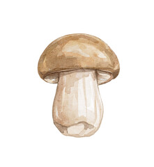 Cartoon cute beige mushroom boletus edulis, porcini, king bolete isolated on white background. Watercolor and pencil hand drawn illustration sketch