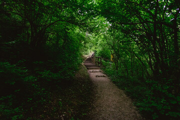 Forest Trail Near Bliha Waterfall in Bosnia and Herzegovina