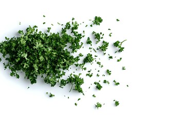Obraz premium Fresh green parsley leaves scattered on white background, isolated herb spice ingredient for cooking and garnish. Natural organic culinary seasoning.