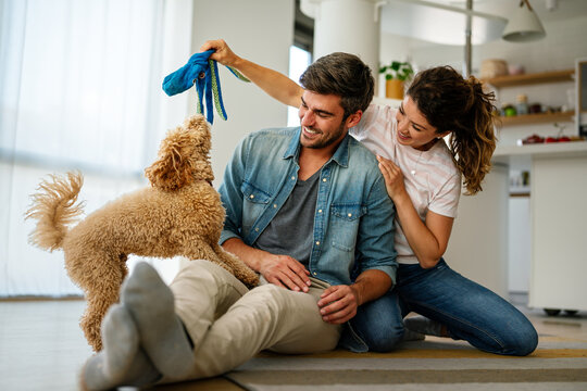 Happy couple playing with dog, having fun on floor at home. Married couple with cute pet