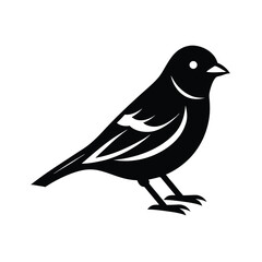 Obraz premium Snow bunting bird silhouette vector art illustration