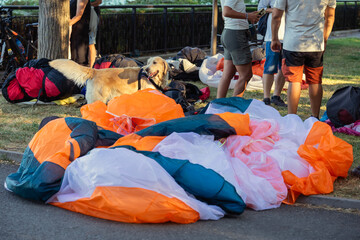 Paragliding group on grass with dog. Paragliders gather on grass with gear , golden retriever...