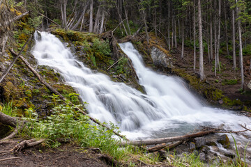 waterfall in the forest