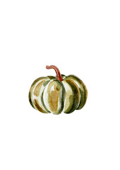 Green pumpkin, illustration in watercolor, without background