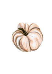 Beige pumpkin, watercolor illustration, without background