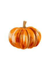 Orange pumpkin in watercolor style without background