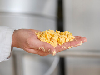 Analyst presenting powdered egg yolk sample in cupped palms showing texture and particle consistency