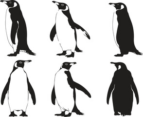 Fototapeta premium Black silhouettes of penguins set on a white background, silhouette penguin different pose walking and skating,