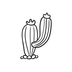 Simple Hand-Drawn Black and White Cactus Plant with Detailed Spines Illustration