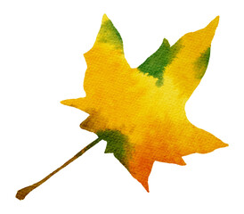 Watercolor Autumn Maple Leaf on Transparent Background. Isolated Fall Design Element in Yellow, Orange and Green Vibrant Colors