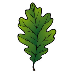 Eiche Blatt Eichenblatt 