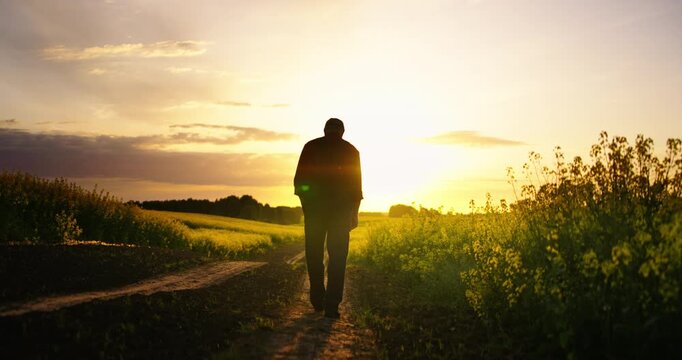 Old Man In Farmland, Cinematic Silhouette Shot Against Sunset Or Sunrise, Back View, Senior Farmer