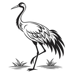 Obraz premium A graceful crane stands in grass, isolated on white