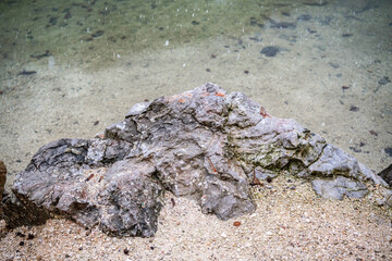 Large textured rock on sandy lake shore for geology, environment and outdoor education concepts