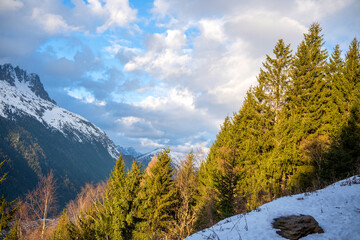 View of Chamonix valley with snow-covered slopes and pine trees for tourism, winter sports and...