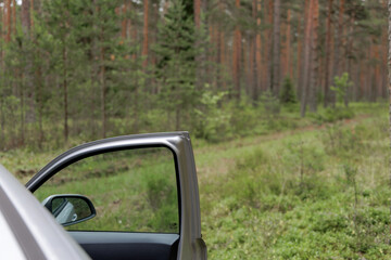 Open Car Door at Forest Edge