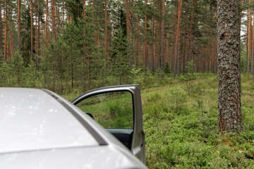Open Car Door at Forest Edge