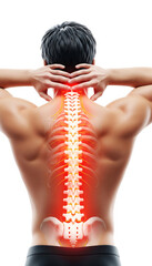 Neck and Lower Back Pain Sciatica and Spinal Cord Illustration on Body
