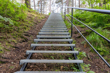 Long Metal Staircase in Forest