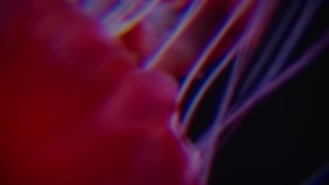 Experimental Abstract Texture for Cutaway, B-Roll, Transition. Plants and Sea Animal