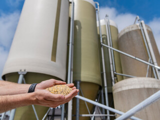 Cupped hands displaying textured chicken feed pellets with industrial feed storage silos visible in agricultural production facility © Victor