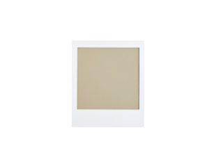 Blank square instant photo with a classic white border and sepiatoned area.