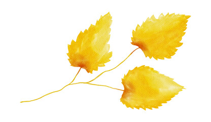 Watercolor Autumn Leaf Isolated Fall Leaves Branch Design Element in Yellow and Orange Vibrant Colors on Transparent Background, Hand Painted Illustration