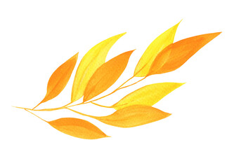 Watercolor Autumn Leaf Isolated Fall Leaves Branch Design Element in Yellow and Orange Vibrant Colors on Transparent Background, Hand Painted Illustration