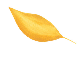 Watercolor Autumn Single Leaf Isolated Fall Design Element on Transparent Background, Hand Painted Illustration
