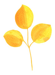 Watercolor Autumn Leaf Isolated Fall Leaves Branch Design Element in Yellow and Orange Vibrant Colors on Transparent Background, Hand Painted Illustration