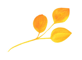 Watercolor Autumn Leaf Isolated Fall Leaves Branch Design Element in Yellow and Orange Vibrant Colors on Transparent Background, Hand Painted Illustration