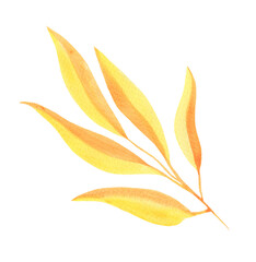 Watercolor Autumn Leaf Isolated Fall Leaves Branch Design Element in Yellow and Orange Vibrant Colors on Transparent Background, Hand Painted Illustration