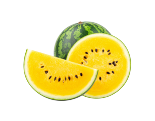 Fresh yellow watermelon with striped green rind whole and sliced to show vibrant yellow flesh with black seeds.