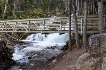 waterfall in the forest