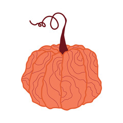 Pumpkin Illustration  Flat Vector on White Background