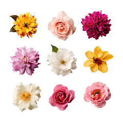 Nine colorful floral arrangements, top-down view