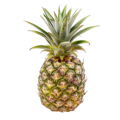 Fresh pineapple, full view