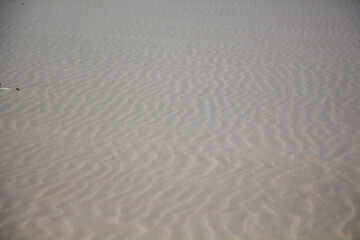 Wind-Carved Ripple Patterns in Fine Beach Sand