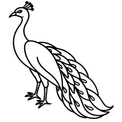 vector illustration of a bird