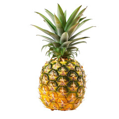 Fototapeta premium Single pineapple, vibrant yellow and green