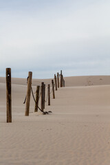 Wooden Fence Posts on Rolling Sand Dunes Under Overcast Sky