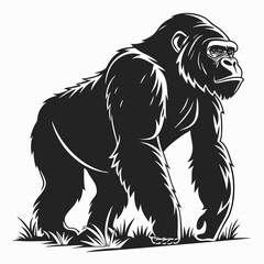 A powerful gorilla stands tall amidst the grass