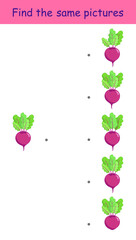 Find the same pictures of beetroot. Educational game. Vector illustration for children's activity book, worksheet, print.