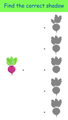 Find the correct shadow of beetroot. Educational game. Vector illustration for children's activity book, worksheet, print.