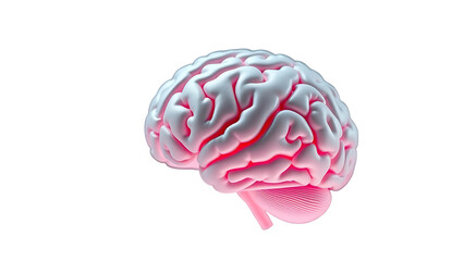 Gray Pink brain top side view transparent set bundle isolated background 3D human brains intellect m