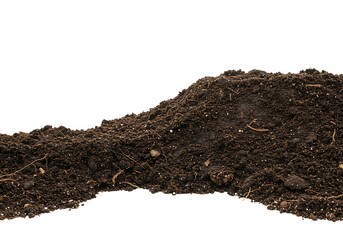 A pile of dark rich soil with small white perlite particles and roots isolated on white background