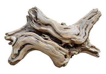 Gnarly weathered driftwood with intricate curves and texture isolated on white background