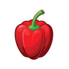 Bell Pepper Cross Section – Line Art Drawing
