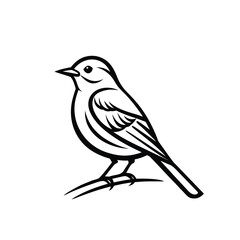 Realistic Bird Side View – Clean Line Art
